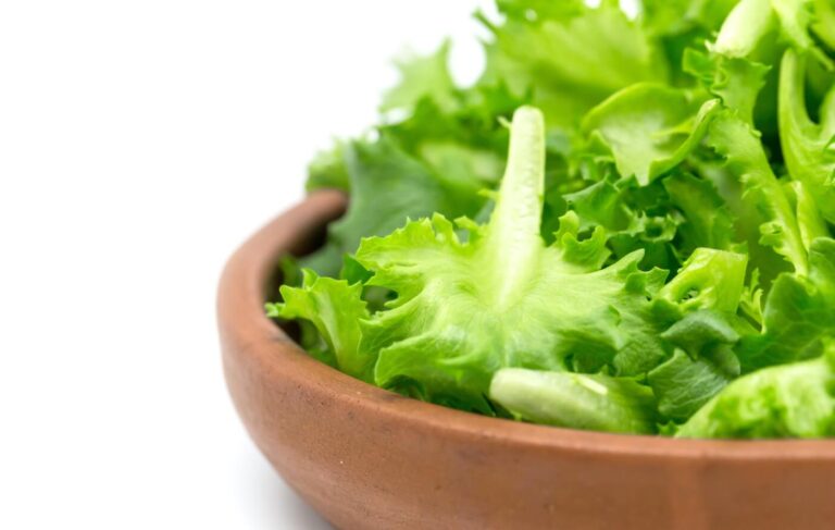 Como manter os legumes frescos por mais tempo