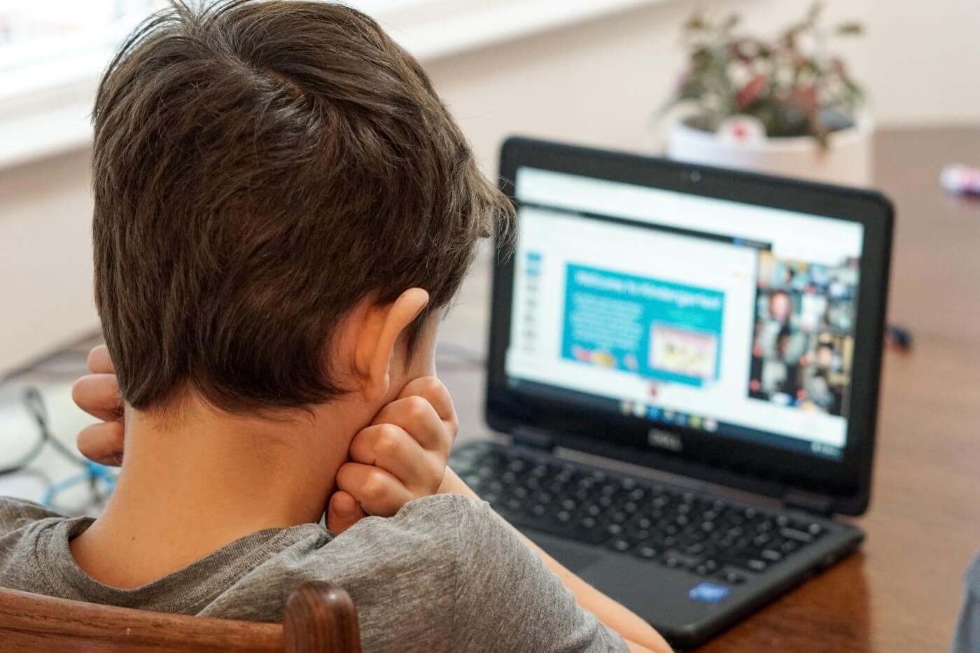 Explicações online