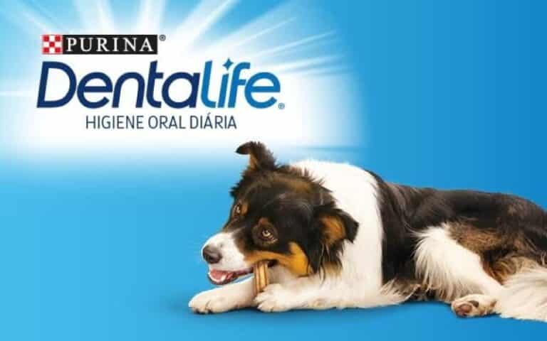Oportunidade: 100% de reembolso em DentaLife para cão