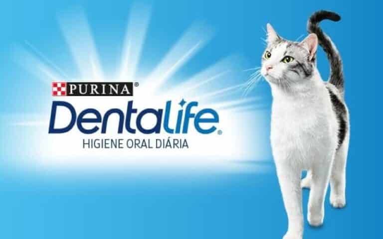 Oportunidade: 100% de reembolso em DentaLife para gato