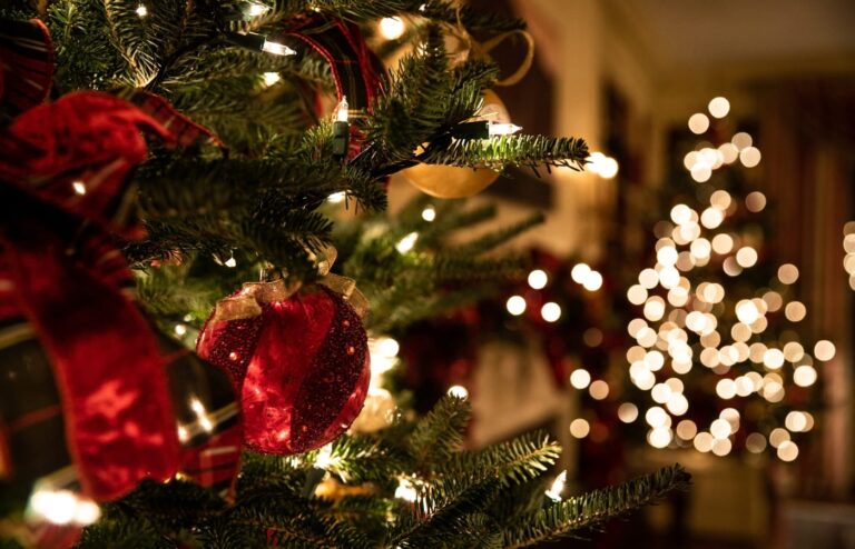 Árvore de Natal: Comprar natural, artificial… ou alugar?