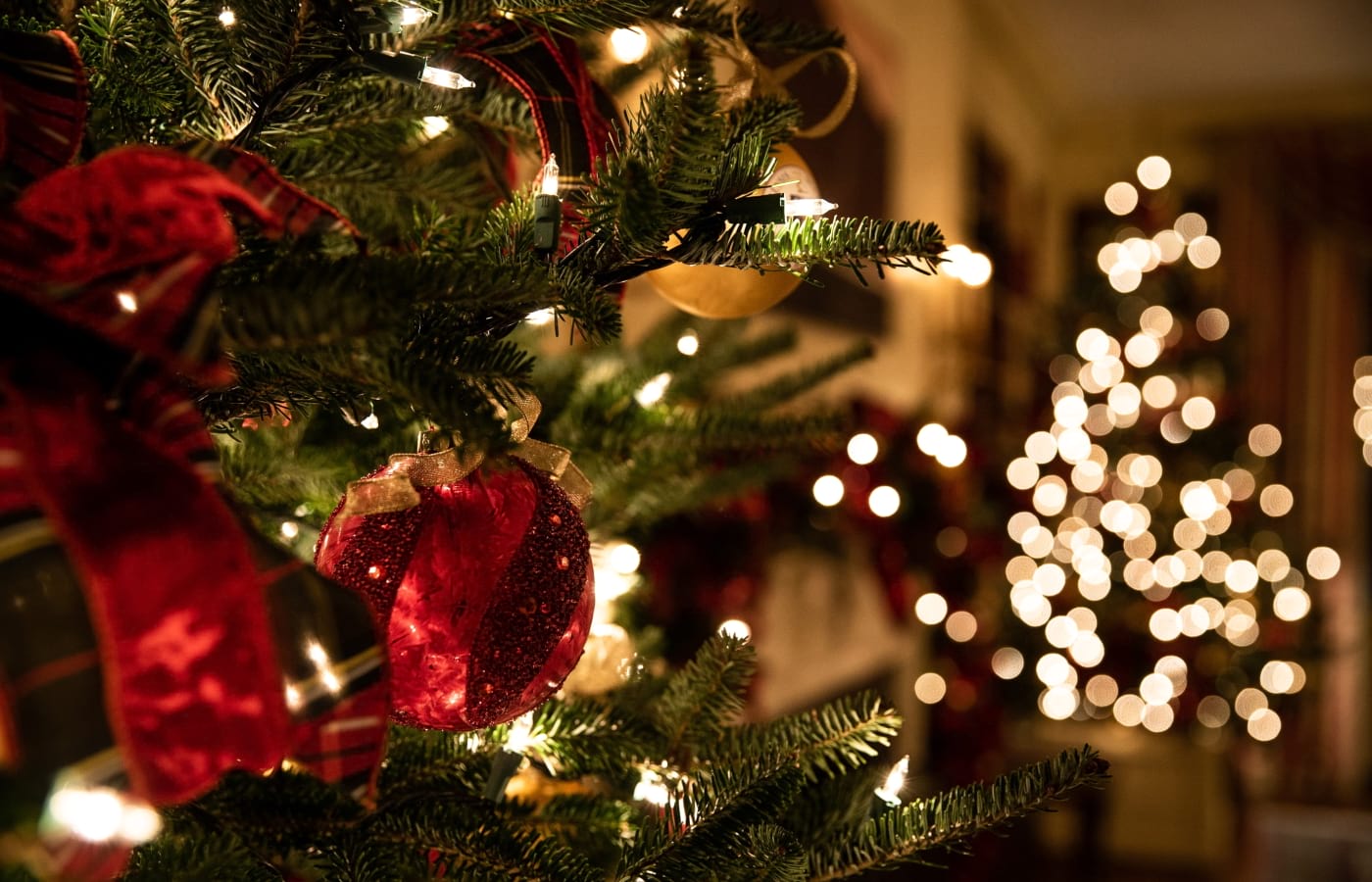 Árvore de Natal: Comprar Natural, Artificial... ou Alugar?