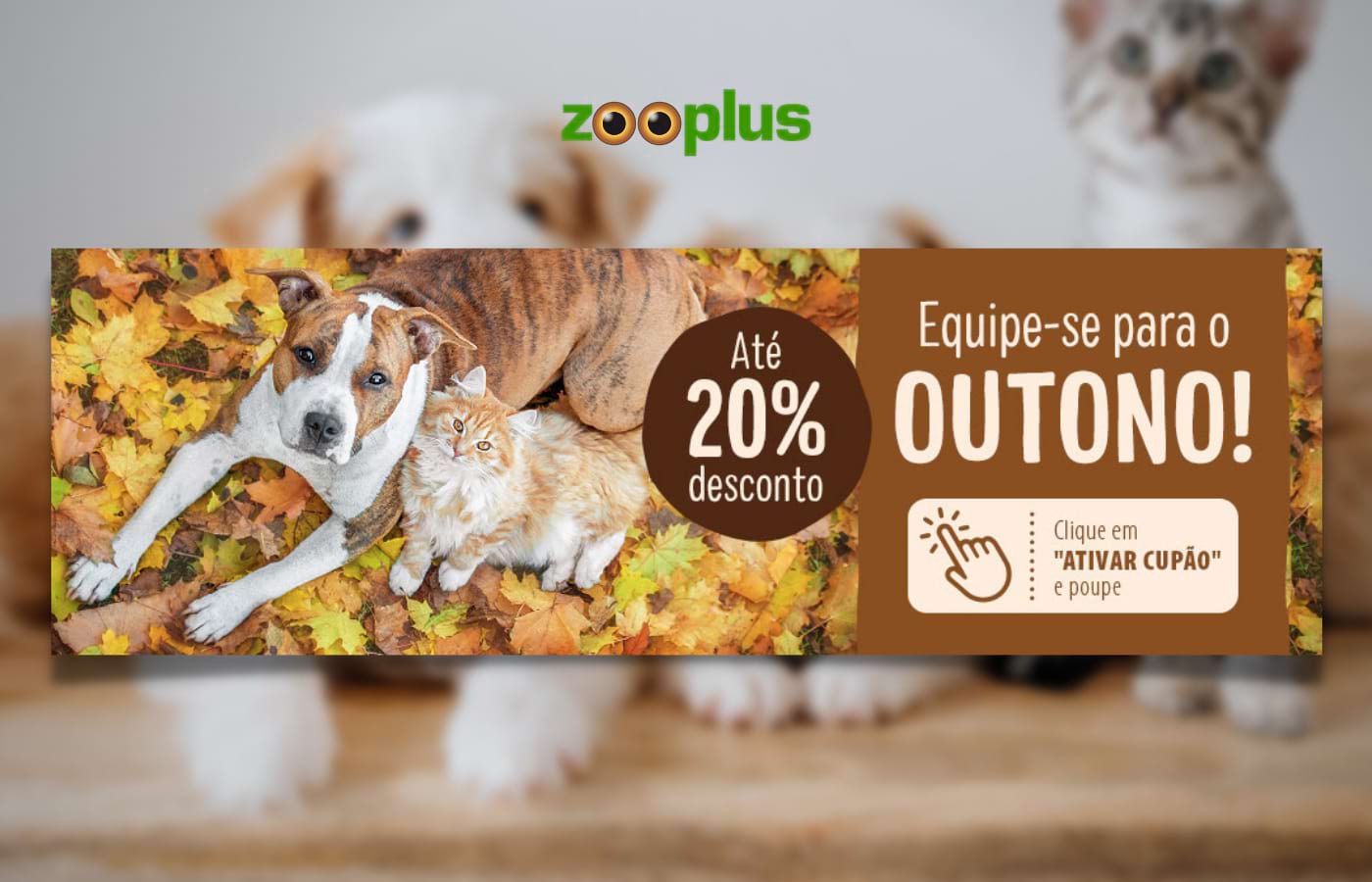 Zooplus - Campanha de Outono 2022