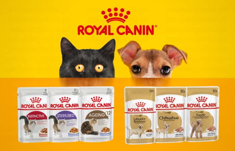 Amostra Grátis: Alimento húmido Royal Canin para cães e gatos