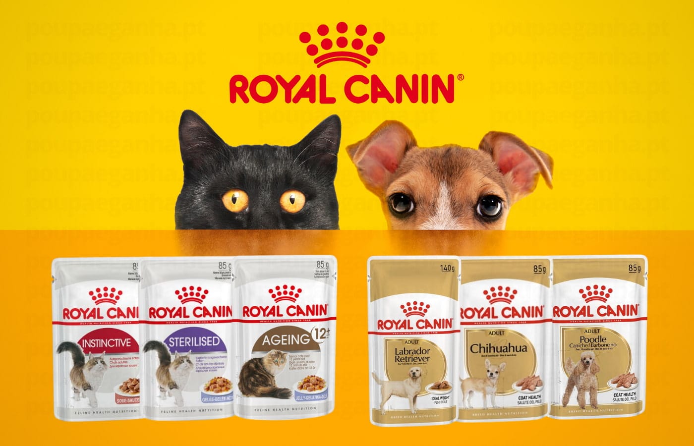 Amostras Grátis Royal Canin