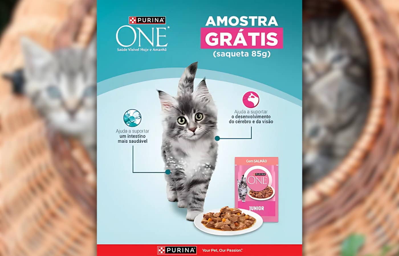 Amostra Grátis - Purina ONE Júnior Salmão