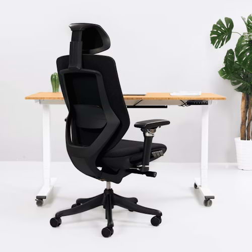 FlexiSpot - Cadeira ergonómica BS12 Pro