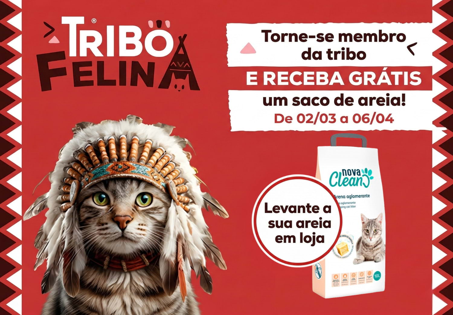 Campanha Tribo Felina da Kiwok oferece saco de areia para gato grátis