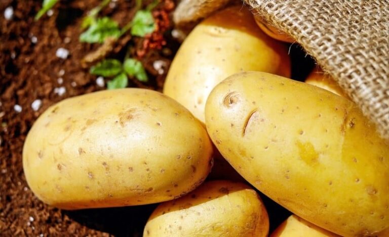 Como Conservar as Batatas por Mais Tempo