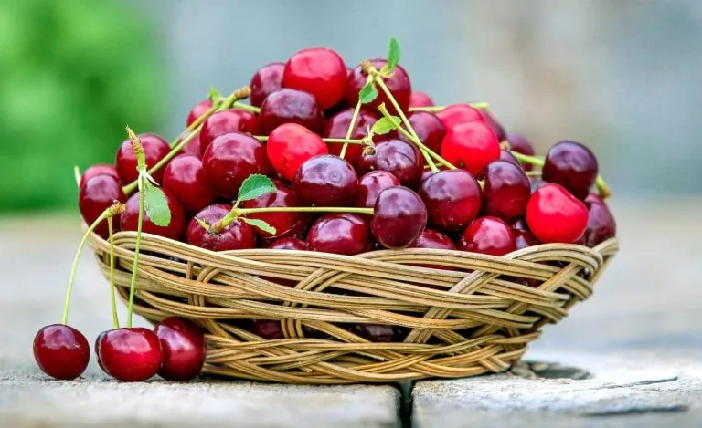 Cesta de cerejas
