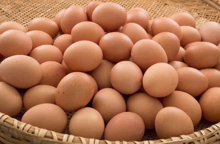 Como conservar melhor os ovos