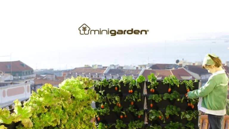 Minigarden: Construa um Mini-Jardim em Sua Casa